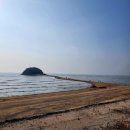 옹진수협 도화지점 | 2025.11.30. 🚙우정 여행(대부도)#3-1. 그린비치 오션뷰 펜션 체크아웃🏨, 선재도 신비의 바닷길 "목섬...