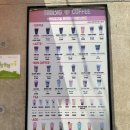 투빅커피(TOOBIG COFFEE)효돈점 | 제주 카페 추천, 가성비 좋은 투빅커피 효돈점, 현지인 추천 커피숍