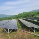 대한 태양광발전소 이미지
