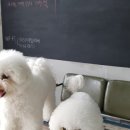 김기성미용실