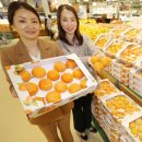 청도할인마트 이미지