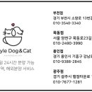 스타일독앤캣 강아지고양이 경기광주점 이미지