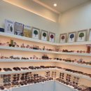 안경본데이 이미지