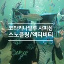 해양 | 사피섬 스노클링 호핑투어 + 해양 액티비티 후기