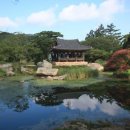 보길윤선도원림 이미지