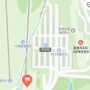 천년목장 | day2. 발왕산케이블카 1월 눈꽃(상고대) 탑승후기. 천년주목숲길 산책로(실시간 웹캠 cctv. 가격. 할인...