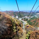 하나카정비프라자 | 발왕산 케이블카 예약 예매 할인 강원도 평창 여행 가볼만한곳