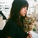 유우리 Dried Flowers 노래 후기｜가사 의미 알고 들으면 더 슬픈 일본 감성 발라드