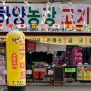 목련정육점