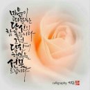 파비스애니원안양