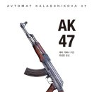 47 이미지