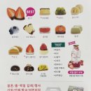 모찌의숲 이미지