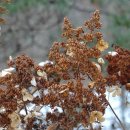 함평자연생태공원 이미지