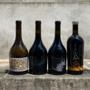 제이씨스 이미지