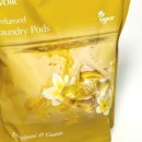 운지하우스 이미지