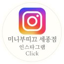 미니부띠끄세종 이미지