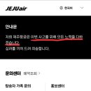 [국내이슈] [공유부탁] 이번 제주항공 사고 인신제사 결정적 증거 이미지