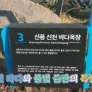 나우목장 이미지