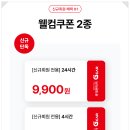 스마트렌트카 | 부산역 카셰어링 그린카 G카 부산여행 렌트카 할인 후기