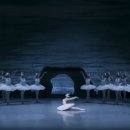 국립발레단 ’백조의 호수’ 이미지
