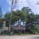 동산PC | 가을 나들이 안성팜랜드 / 입장권 할인정보 / 황화 코스모스 명소 / 사진찍기 좋은 곳