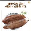 가자미 닮은 6월의 수산물 서대 이미지