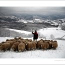 풍성한목장 이미지