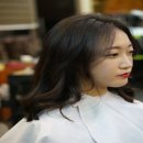 헤어(HAIR)_265 이미지