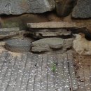 돌베개펜션 이미지