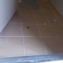 진성 크린 이미지