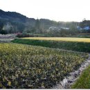 초밥천국 이미지