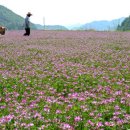 오래전 받은메일중에서. 이미지