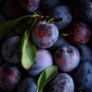 28스킨드롭