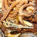 낙지세상 이미지