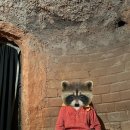 수목원 숯굽는 마을 이미지