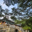세계 문화 역사탐험 | 경주 불국사: 아빠와 함께 시간 여행! 세계문화유산 속 역사 탐험