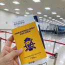 완도약국 | 제주에서 완도 실버클라우드 페리이용후기 및 한일고속 키즈이벤트