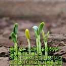 [경기방 출석부] 25년3월 5 일 수요일 이미지