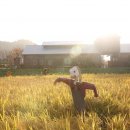 한국 축산 농원 이미지