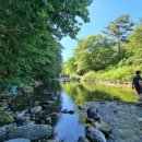 들꽃팬션 앞 이미지