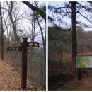 월성산 봉수대 이미지