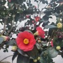 석모 스테이 이미지