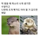 루치펠