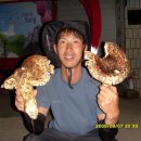 청송슈퍼 Daum카페