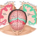 제이미 피티 스튜디오 이미지