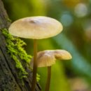 솔바람오토캠핑장 이미지