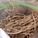 강화농약종묘사 이미지