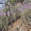 당산화원 이미지