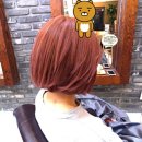 스테이체리 이미지