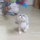 도도 :) 미용 후기